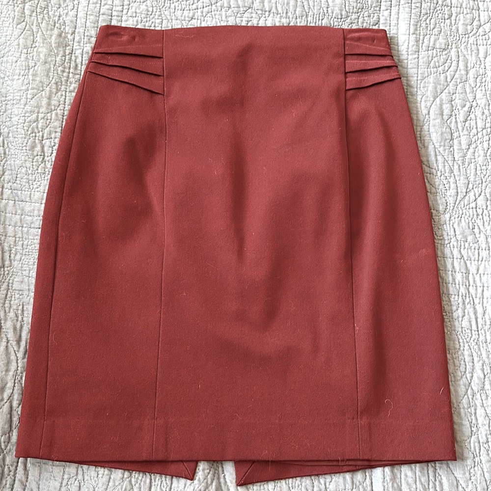 Express Pencil Skirt